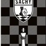 Magnetické šachy