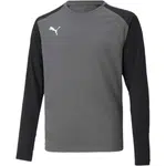 Puma TEAMGLORY JERSEY Pánske futbalové tričko, sivá, veľkosť