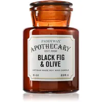 Paddywax Apothecary Fig & Olive vonná svíčka 226 g