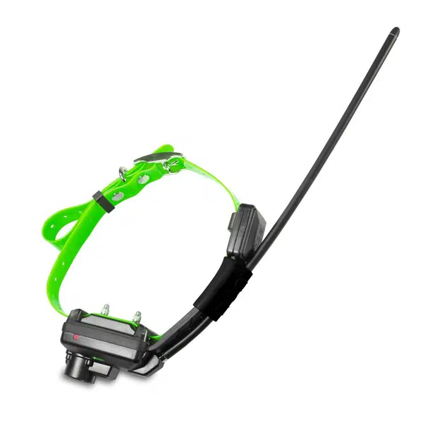 Kratší obojok pre ďalšieho psa - DOG GPS X30TB Short - Kratší obojek pro dalšího psa - DOG GPS X30TB Short - Zelená