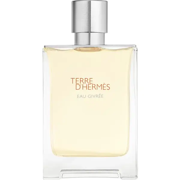HERMÈS Terre d’Hermès Eau Givrée parfumovaná voda plniteľná pre mužov 100 ml