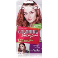 Delia Cosmetics Cameleo Coloring Shampoo tónovací šampón na vlasy odtieň 7.34 Sweet Toffee 40 ml