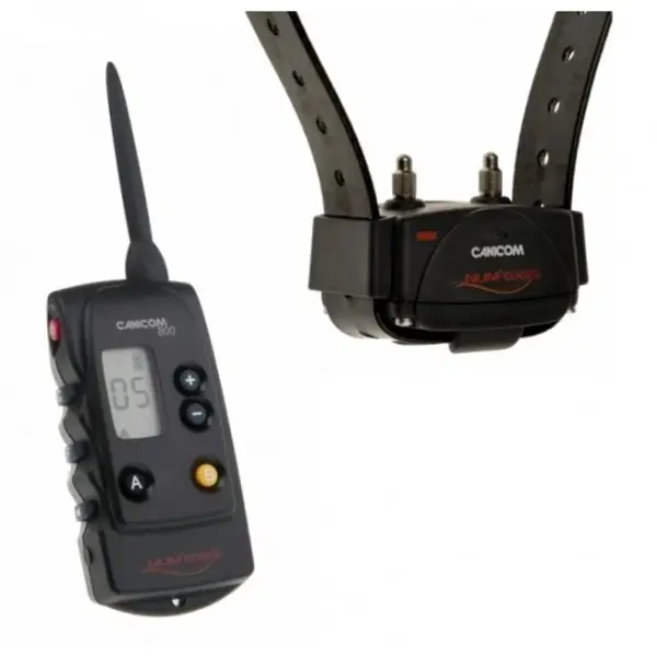 Canicom 800 - pro 2 psy | P1770