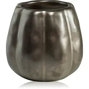 Paddywax Pumpkin Spice vonná sviečka 255 g