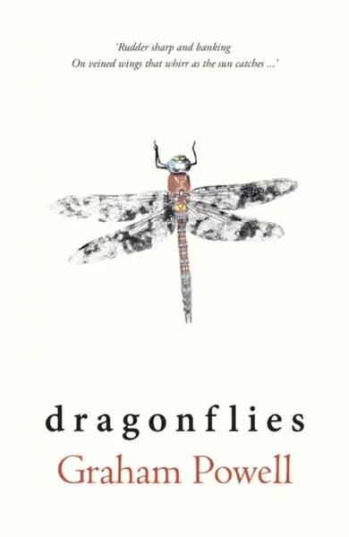 Dragonflies - Graham Powell