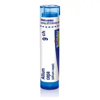 Allium Cepa 9CH granule 1x4g