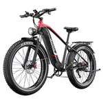 DUOTTS F26 Lite Electric Bike 500W 48V 18Ah Black Red