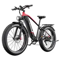DUOTTS F26 Lite Electric Bike 500W 48V 18Ah Black Red