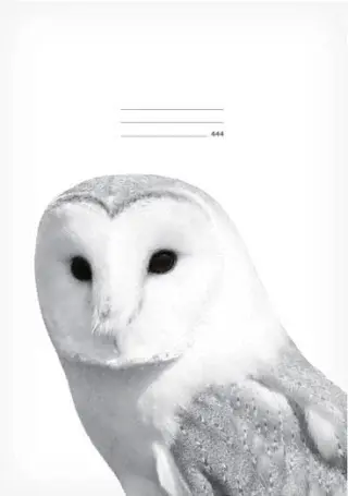 Školní sešit LUX A4 444 Sova