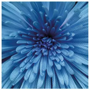 Ubrousek P 33x33 celorok SDL897005