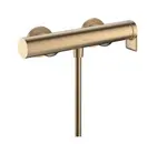 Hansgrohe Vivenis - Sprchová batéria, kefovaný bronz 75620140