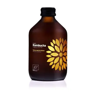 VIGO Kombucha Yerba Maté BIO 330 ml