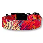 PafDog® Designový obojek pro psy Festival PAF-887