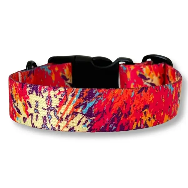 PafDog® Designový obojek pro psy Festival PAF-887