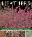 Heathers - Andrew Mikolajski