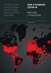 Rok s pandemií covid-19 - Milan Zajíček, Martin Šmíd, Tomáš Diviák, Josef Šlerka - e-kniha