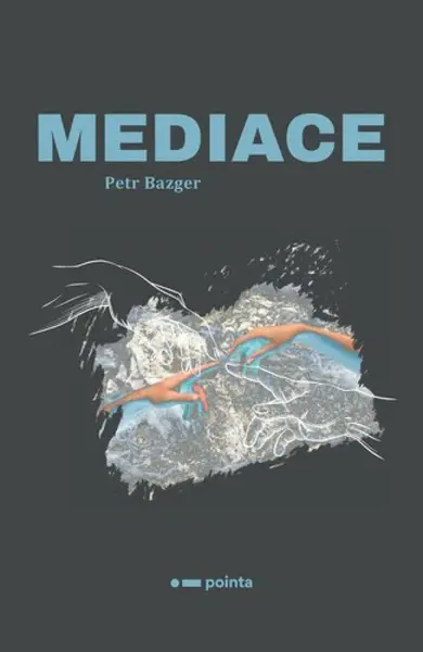 Mediace - Petr Bazger