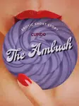 The Ambush - Erotic Short Story - Cupido - e-kniha