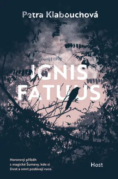 Ignis fatuus - Petra Klabouchová - e-kniha