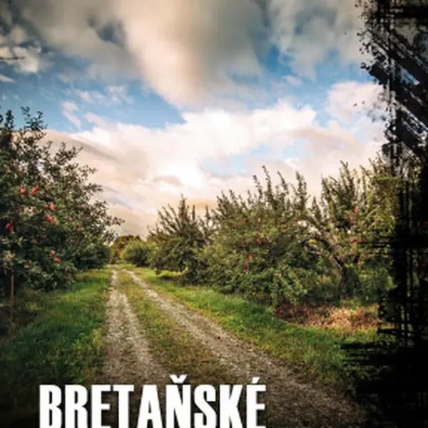 Bretaňské noci - Jean-Luc Bannalec - e-kniha