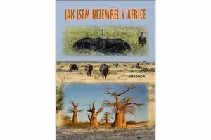 Jak jsem nezemřel v Africe - Tomčík Jiří
