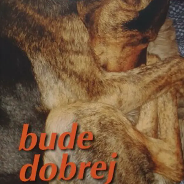 Bude dobrej - Emília Miluše Baco - e-kniha