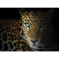 Euroart MALBA NA PLÁTNĚ, zvířata, 135/100 cm