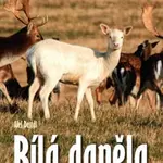 Bílá daněla - Aleš Dostál
