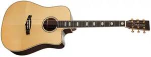 Tanglewood TW1000HSRCE