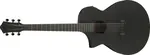 Ibanez AEWC621L BOT