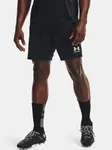 Pánské kraťasy Under Armour