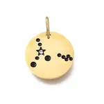 Twelve Constellations 304 Stainless Steel Enamel Pendants