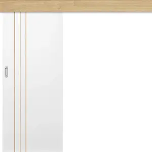 Posuvné dveře na stěnu INTERSIE LUX DUB