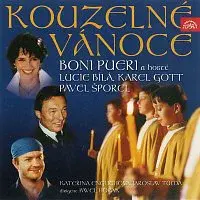 Různí interpreti – Kouzelné Vánoce CD