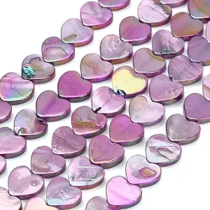 Natural Freshwater Shell Beads Strands