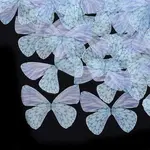 Organza Fabric