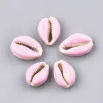 Natural Cowrie Shell Beads