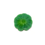 Resin Artificial Aquatic Plant Ornament