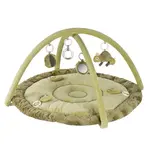 3D aktivity deka chameleon, Crazy