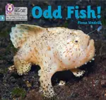 Odd Fish! - Undrill Fiona