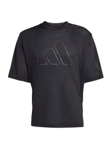 ADIDAS PERFORMANCE Funkčné tričko  čierna / strieborná