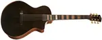 Cort Modern Black TBK