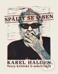 Spálit se o sen (Texty kritické ( i nekritické )) - Karel Haloun - kniha z kategorie Teorie umění