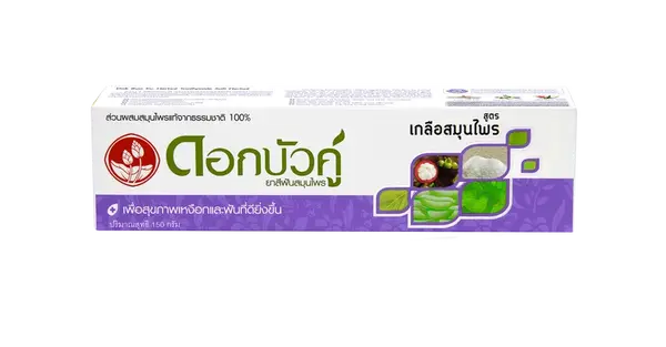 Twin Lotus Salt Herbal bylinná zubná pasta