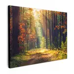 MuchoWow OBRAZ NA PLÁTNĚ Les - podzim - stromy 80x60 cm