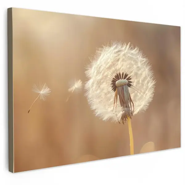 MuchoWow OBRAZ NA PLÁTNĚ Pampeliška - Béžová - Příroda - Květina 120x80 cm