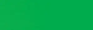 Akryl Amsterdam St. 250 ml - 672 Reflex Green