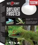 Repti Planet žárovka Daylight Frosted 100W