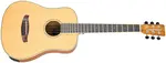Tanglewood TRX2E