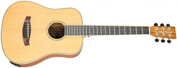 Tanglewood TRX2E